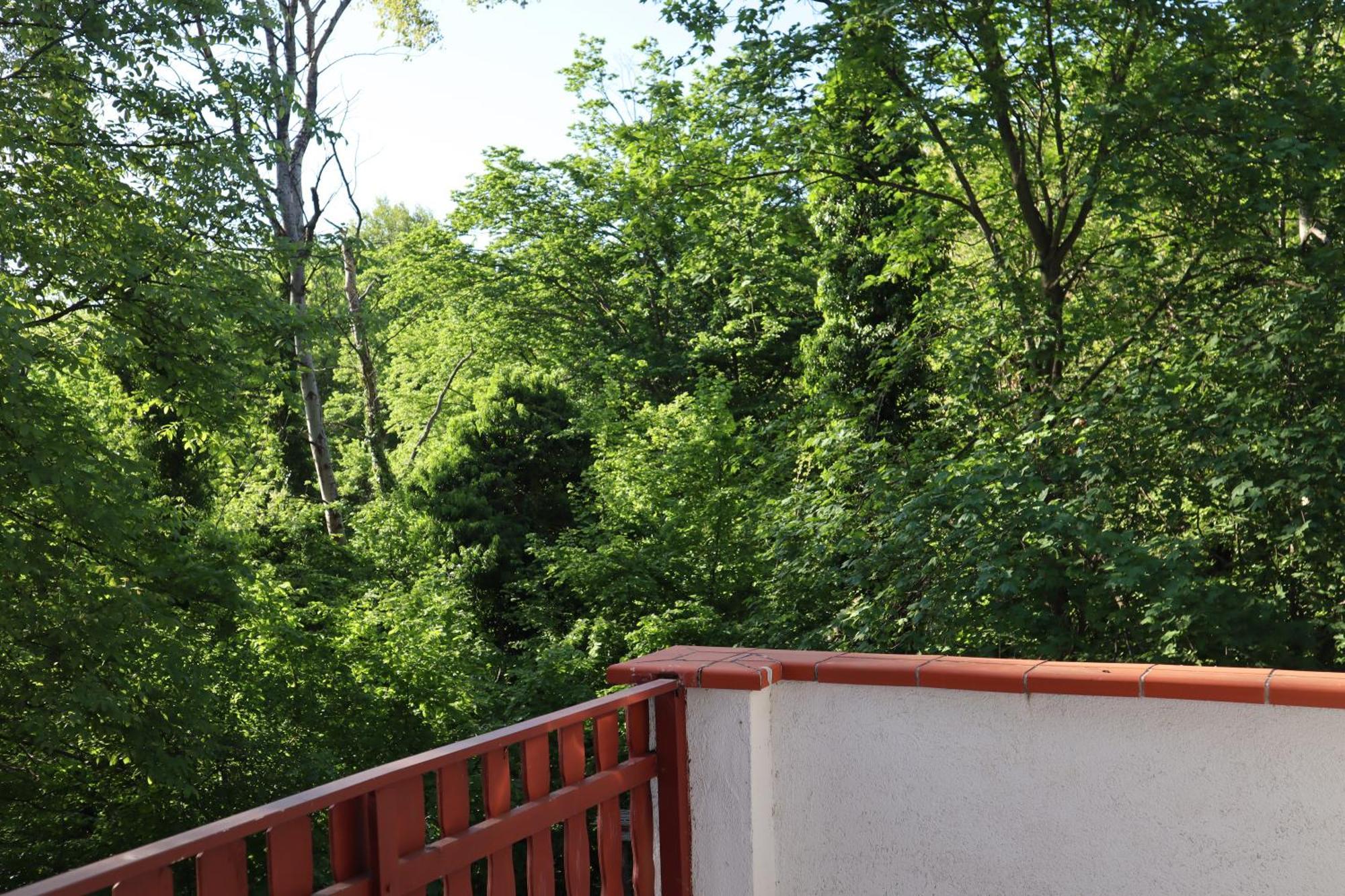 Madarles Vendeghaz Villa Abaliget Exterior foto